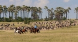 Botswana ~ Ride Botswana ~ Kalahari