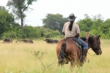 Botswana ~ Ride Botswana Okavango Delta Mobiles