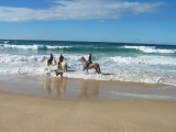 Portugal ~ Alentejo Coast