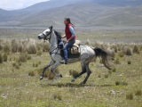 Ecuador