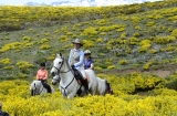 Spain ~ Mountains & Valleys of Gredos