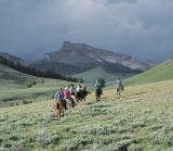 USA, Wyoming ~ Bitterroot