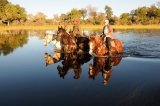Botswana ~ African Horseback Safaris